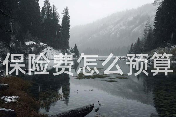 保险费怎么预算