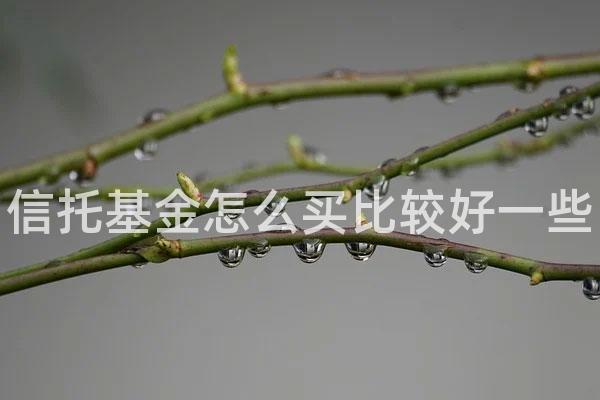 信托基金怎么买比较好一些