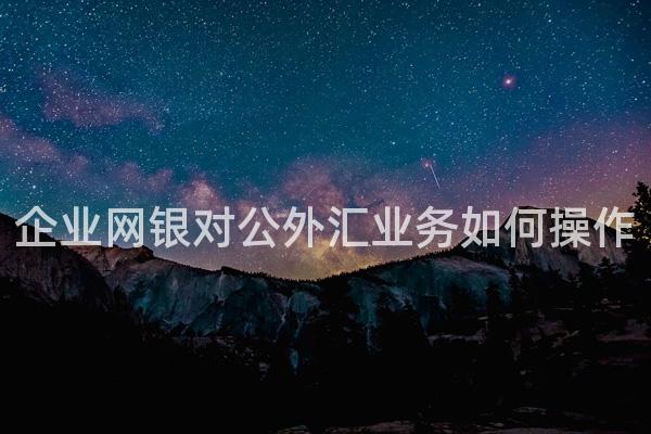 企业网银对公外汇业务如何操作