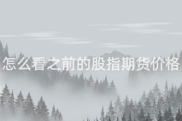 怎么看之前的股指期货价格