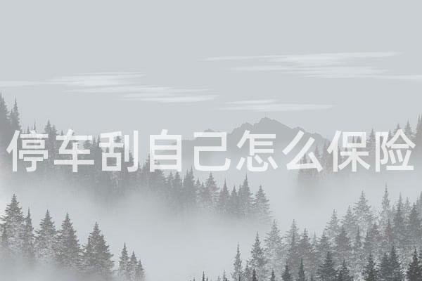 停车刮自己怎么保险