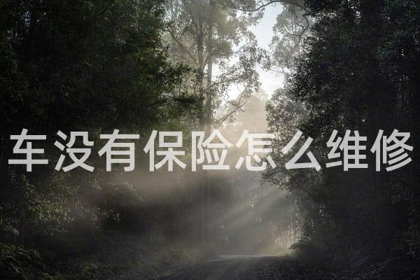 车没有保险怎么维修