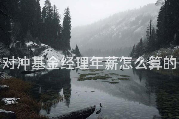 对冲基金经理年薪怎么算的