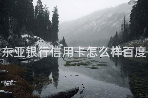 东亚银行信用卡怎么样百度