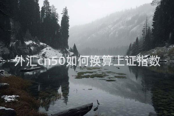 外汇cn50如何换算上证指数