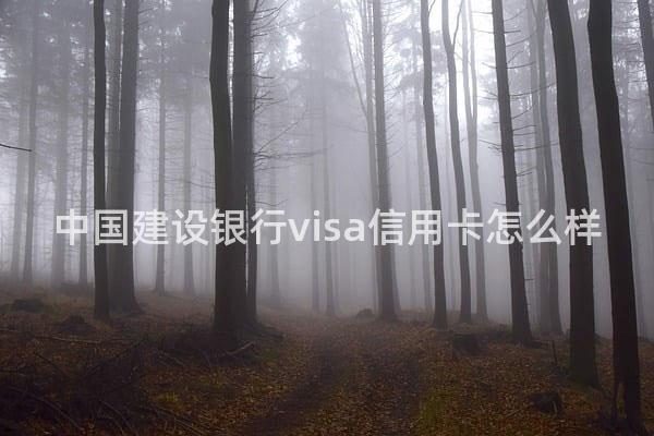 中国建设银行visa信用卡怎么样