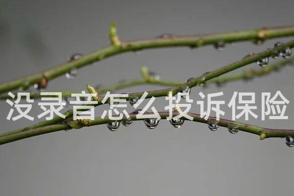 没录音怎么投诉保险