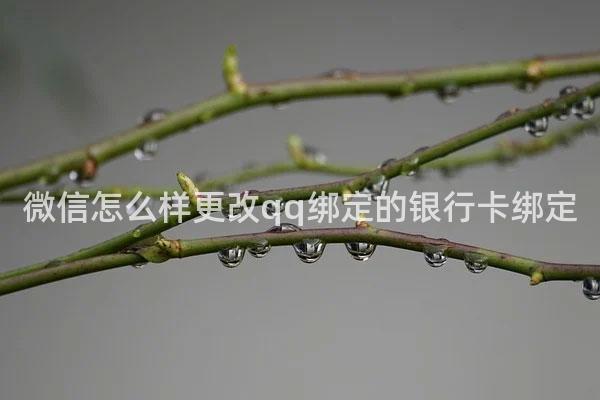 微信怎么样更改qq绑定的银行卡绑定