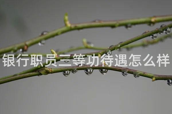 银行职员三等功待遇怎么样