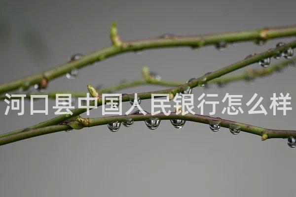 河口县中国人民银行怎么样