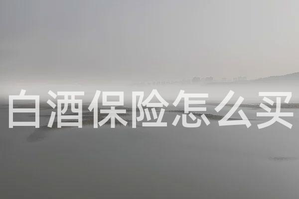 白酒保险怎么买