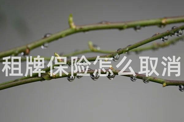 租牌保险怎么取消