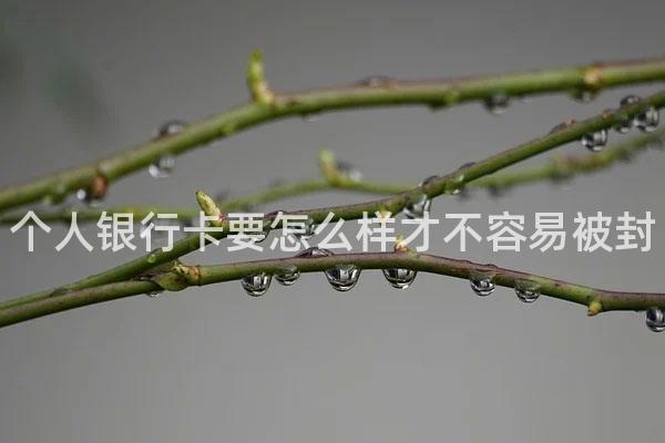 个人银行卡要怎么样才不容易被封