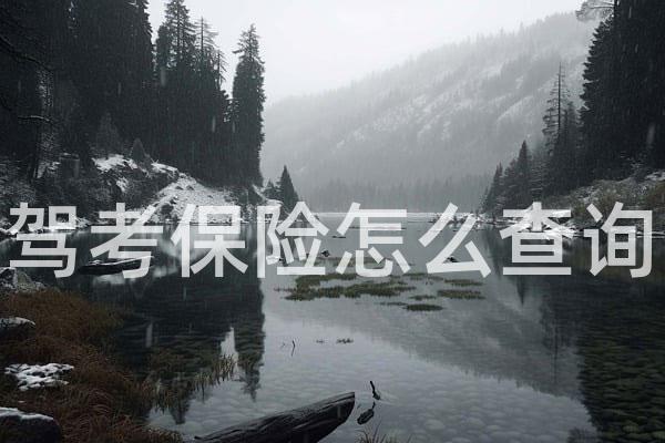 驾考保险怎么查询