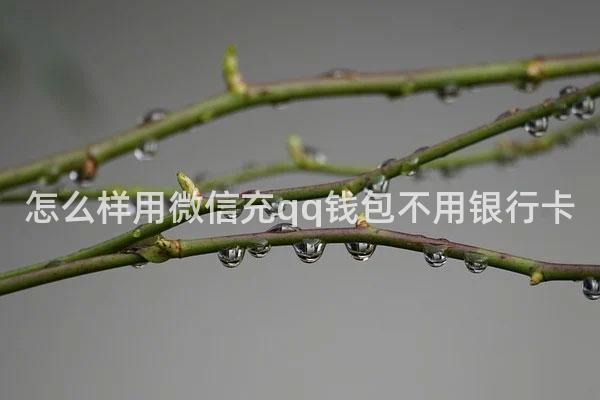 怎么样用微信充qq钱包不用银行卡