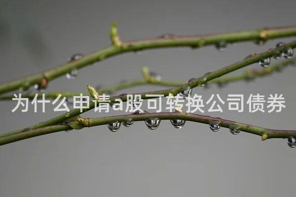 为什么申请a股可转换公司债券