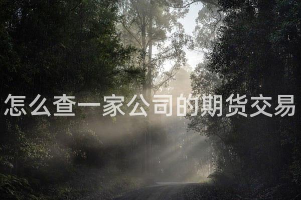 怎么查一家公司的期货交易