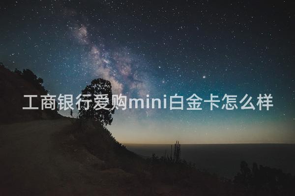 工商银行爱购mini白金卡怎么样