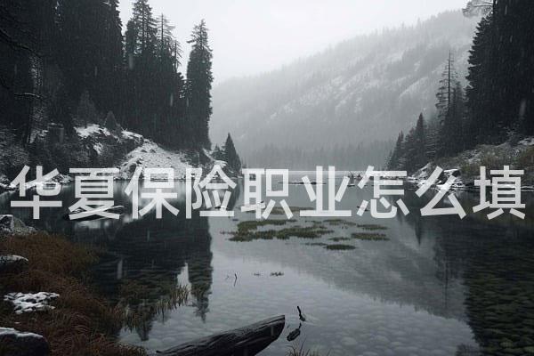 华夏保险职业怎么填