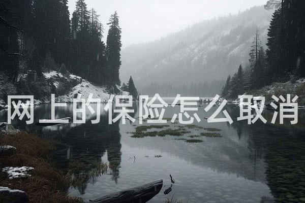 网上的保险怎么取消