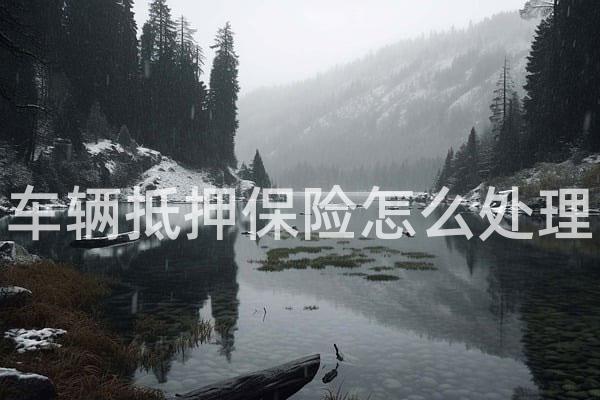 车辆抵押保险怎么处理