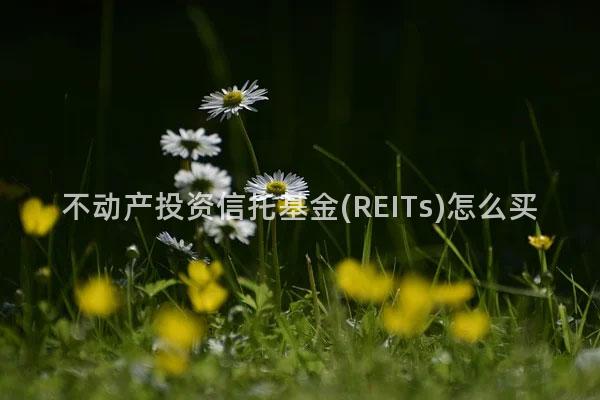 不动产投资信托基金(REITs)怎么买