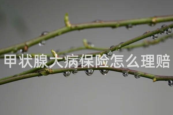 甲状腺大病保险怎么理赔