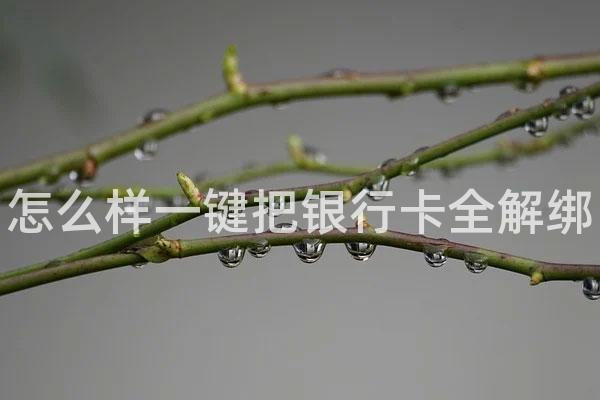 怎么样一键把银行卡全解绑