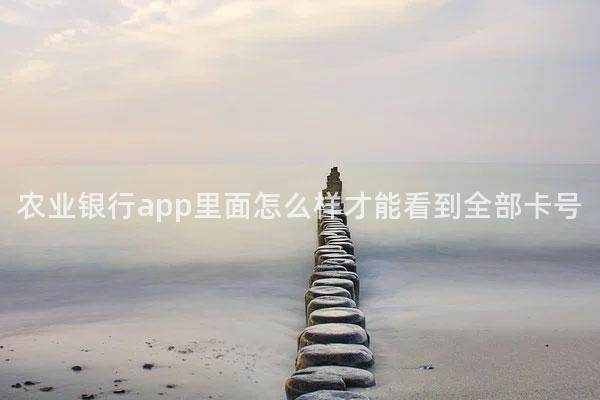 农业银行app里面怎么样才能看到全部卡号