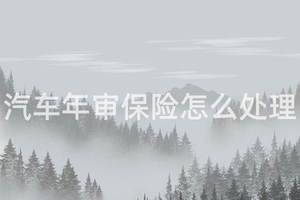 汽车年审保险怎么处理