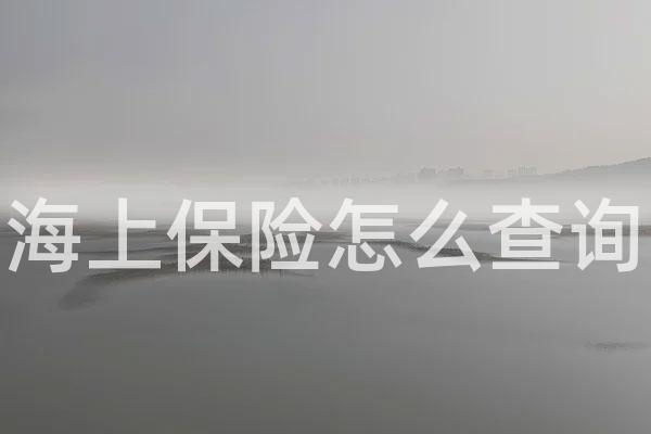 海上保险怎么查询