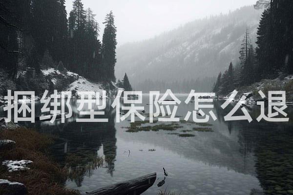 捆绑型保险怎么退