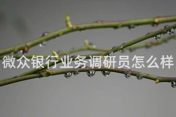 微众银行业务调研员怎么样