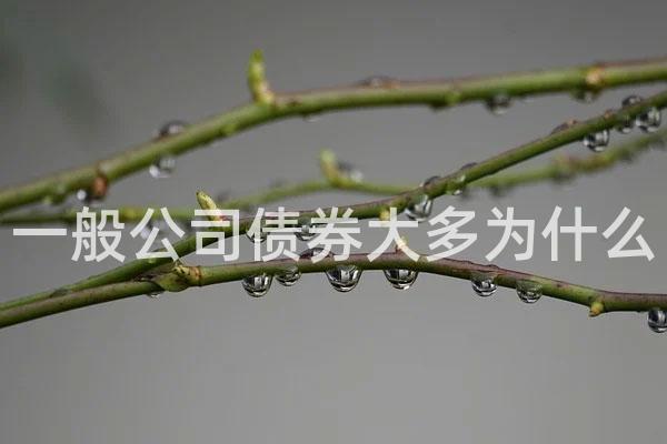 一般公司债券大多为什么