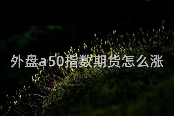 外盘a50指数期货怎么涨