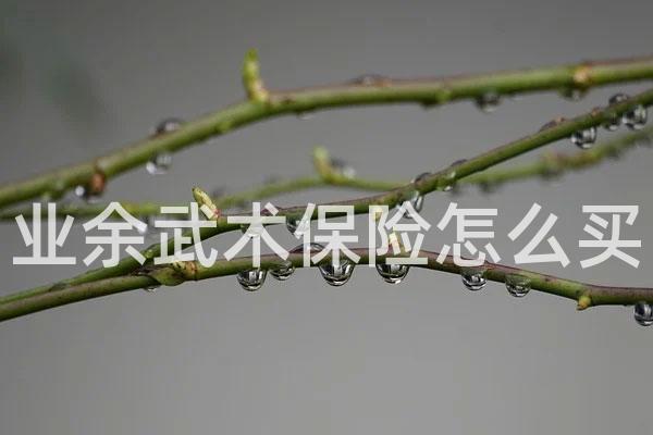 业余武术保险怎么买