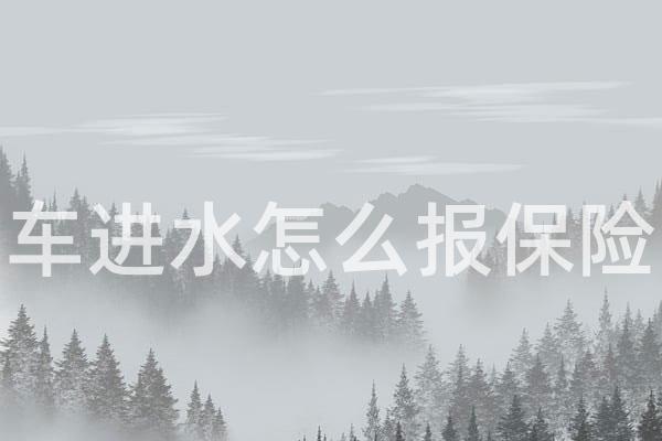 车进水怎么报保险