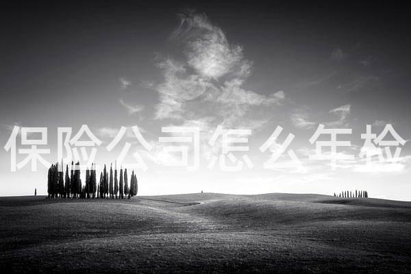 保险公司怎么年检