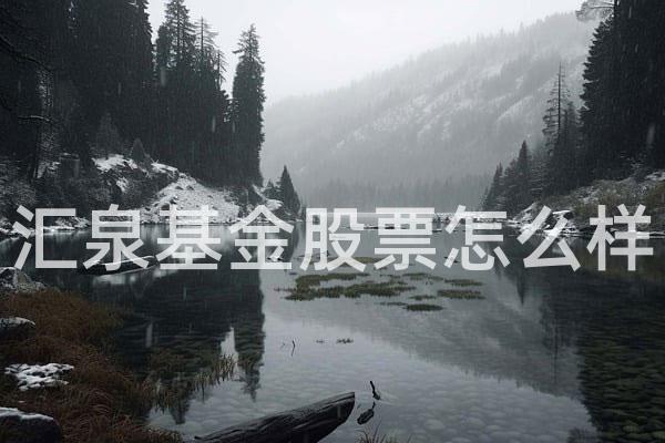 汇泉基金股票怎么样