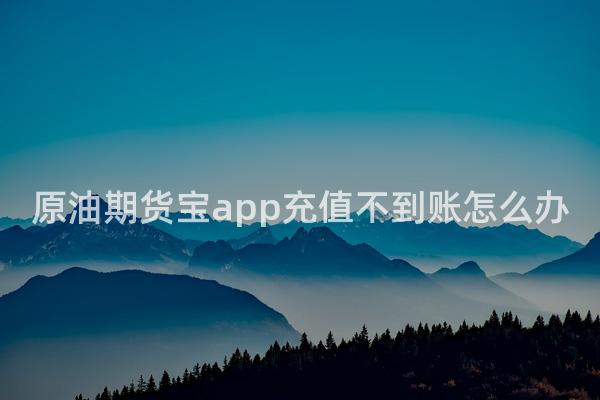 原油期货宝app充值不到账怎么办