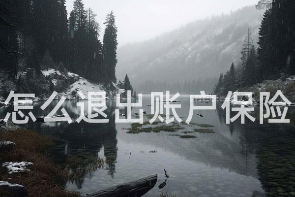 怎么退出账户保险