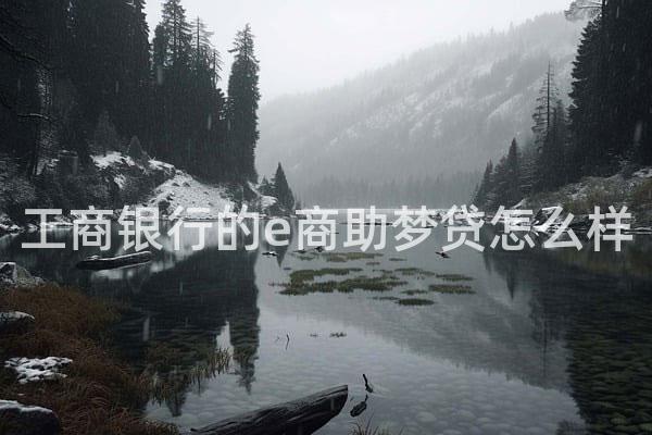 工商银行的e商助梦贷怎么样