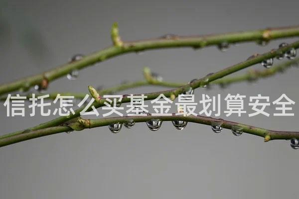 信托怎么买基金最划算安全