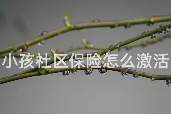 小孩社区保险怎么激活