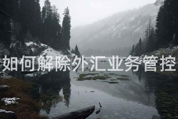 如何解除外汇业务管控