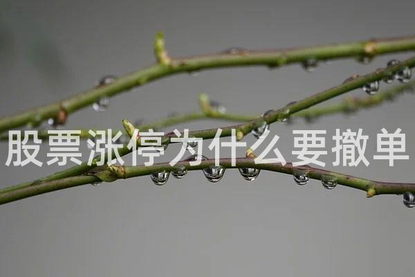 股票涨停为什么要撤单