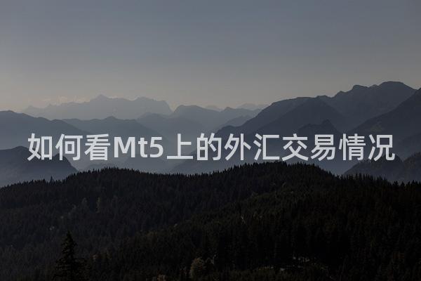 如何看Mt5上的外汇交易情况