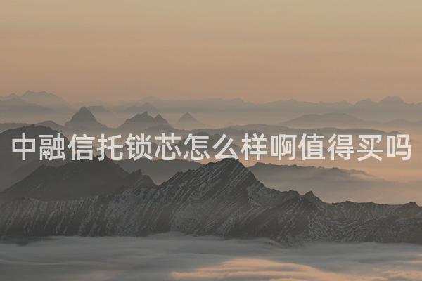 中融信托锁芯怎么样啊值得买吗