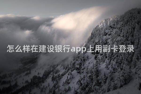 怎么样在建设银行app上用副卡登录