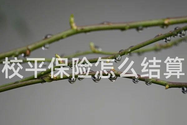 校平保险怎么结算